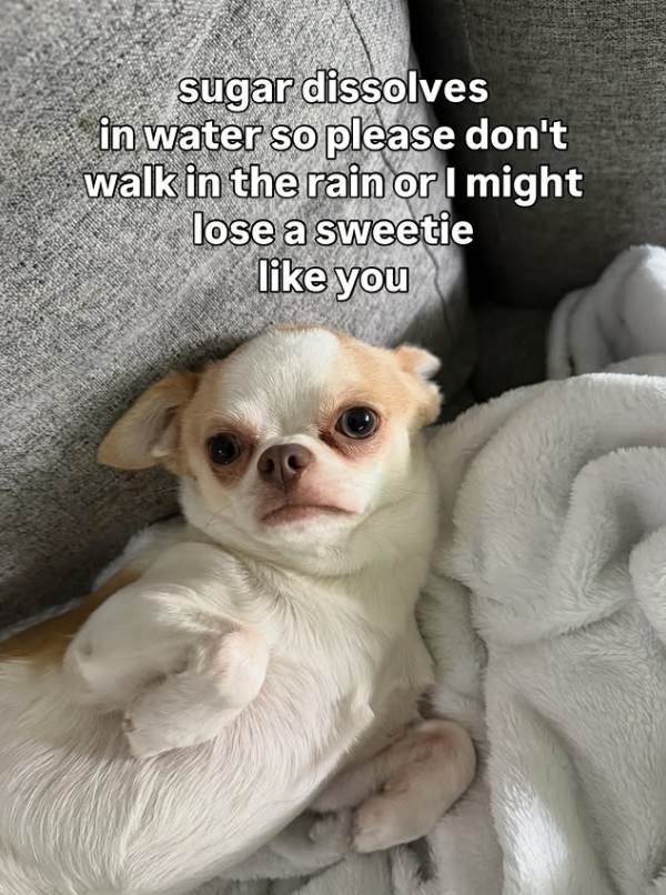 sugar dissolves in water so please don't walk in the rain or I might lose a sweetie like you