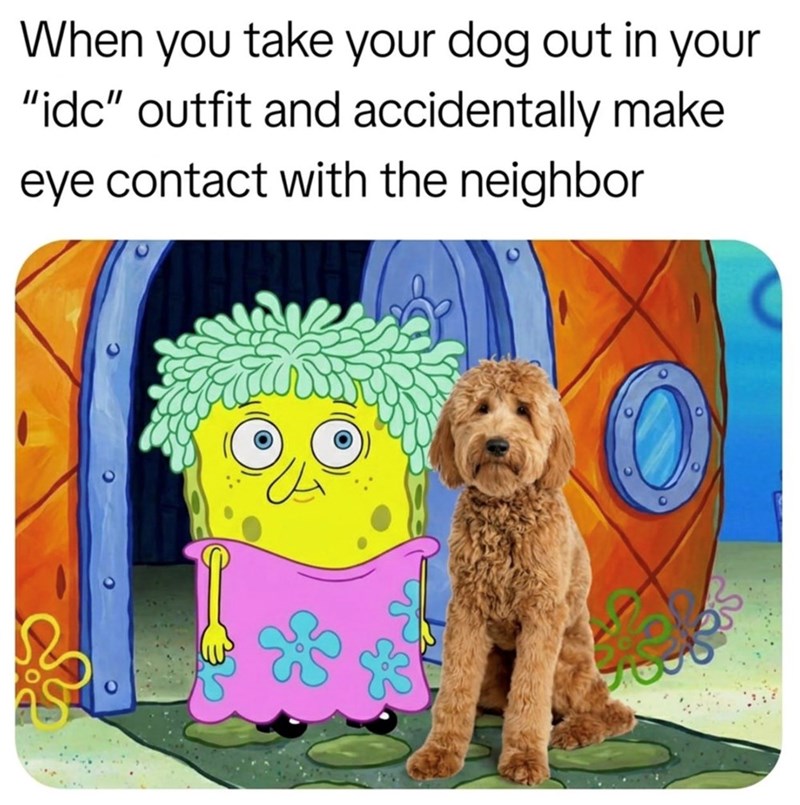 When you take your dog out in your "idc" outfit and accidentally make eye contact with the neighbor
