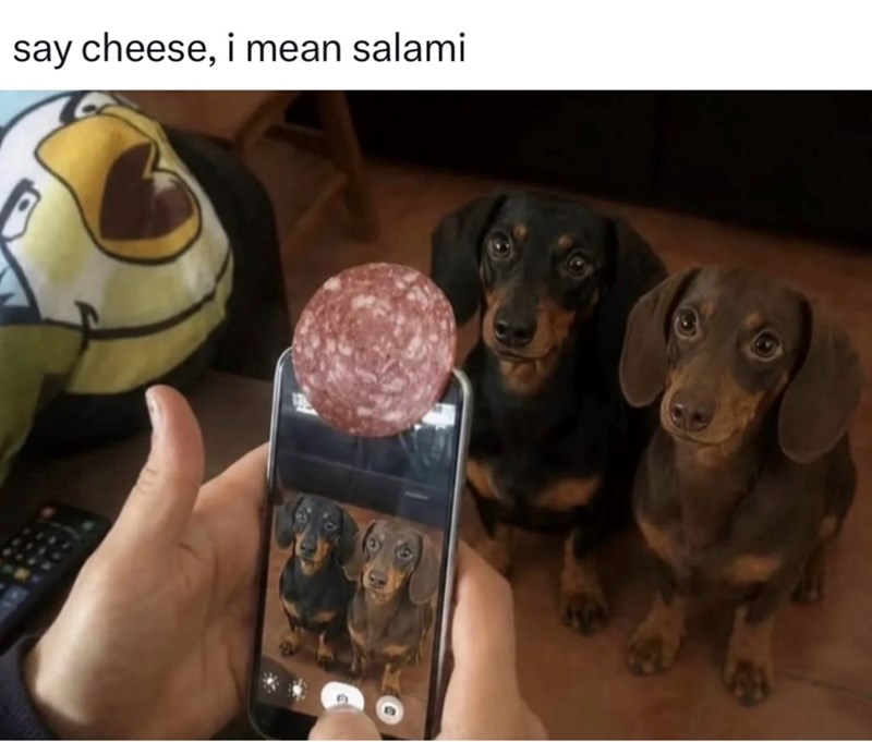 say cheese, i mean salami 9
