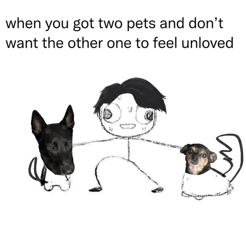 when you got two pets and don't want the other one to feel unloved