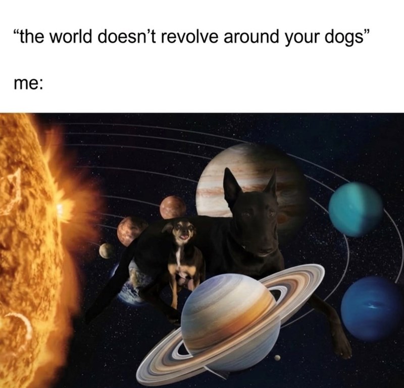 "the world doesn't revolve around your dogs" me: