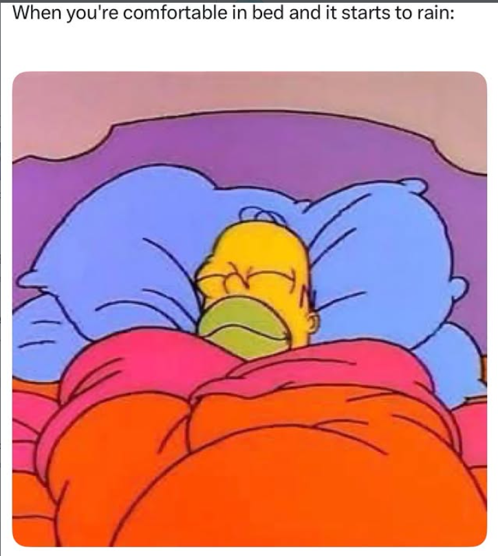 When you're comfortable in bed and it starts to rain: