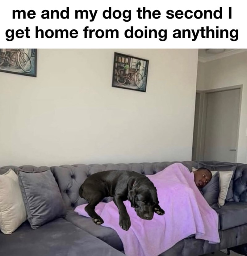me and my dog the second I get home from doing anything
