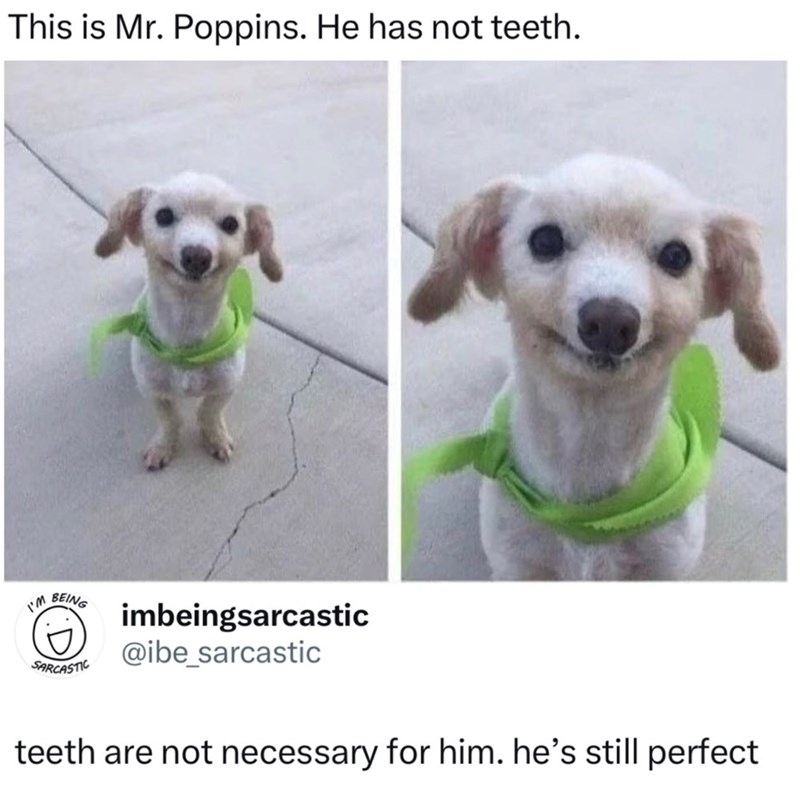 This is Mr. Poppins. He has not teeth. I'M BEING SARCASTIC imbeingsarcastic @ibe_sarcastic teeth are not necessary for him. he's still perfect
