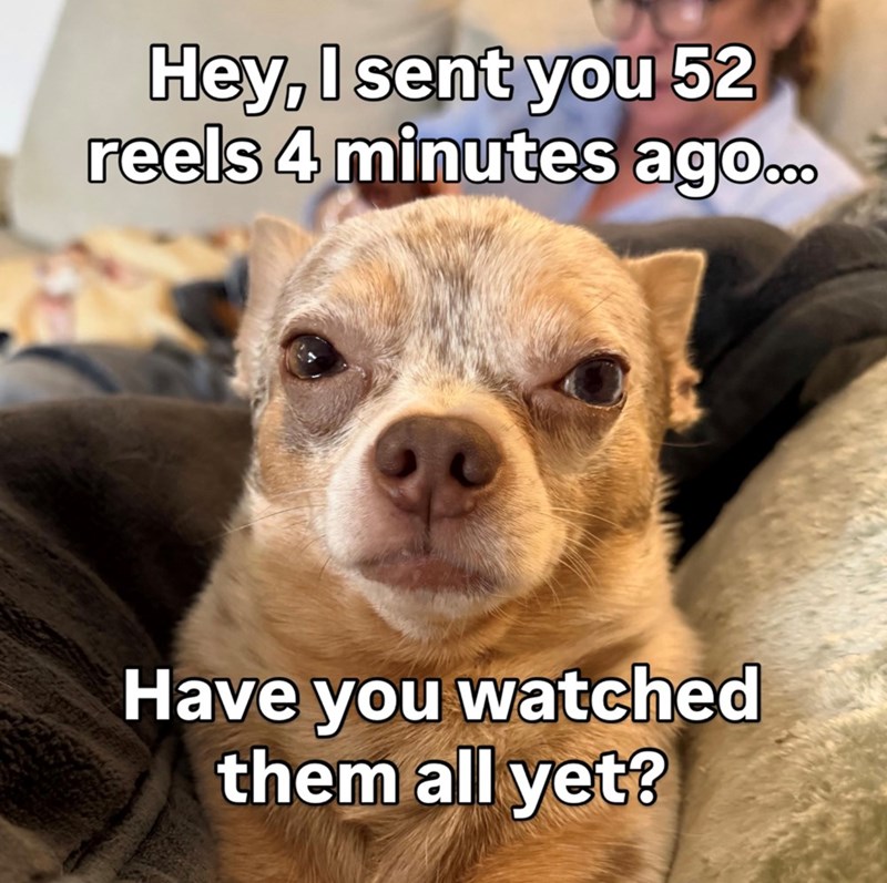 Hey, I sent you 52 reels 4 minutes ago... Have you watched them all yet?