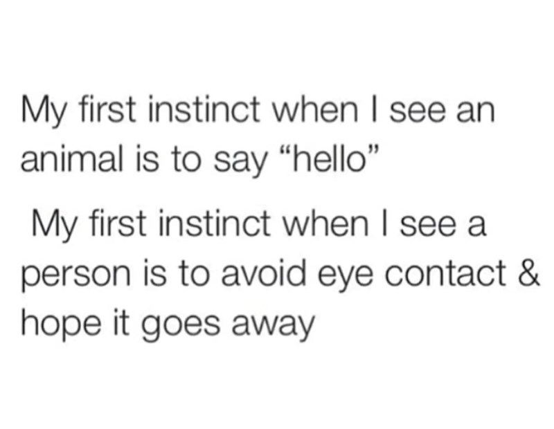 My first instinct when I see an animal is to say "hello" My first instinct when I see a person is to avoid eye contact & hope it goes away