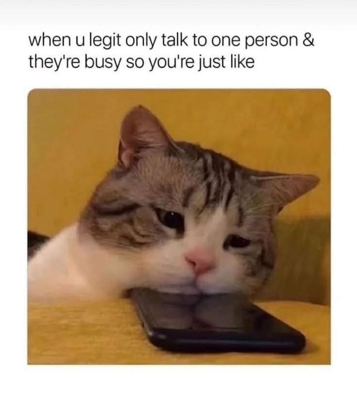 when u legit only talk to one person & they're busy so you're just like