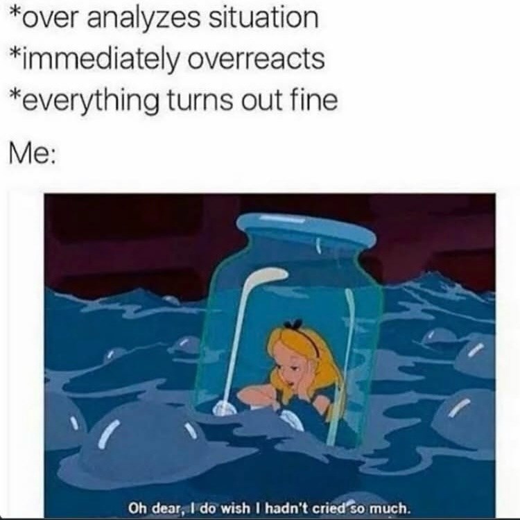 *over analyzes situation *immediately overreacts *everything turns out fine Me: Oh dear, I do wish I hadn't cried so much.