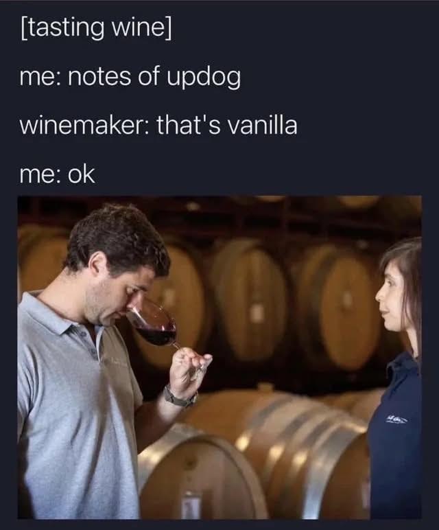 [tasting wine] me: notes of updog winemaker: that's vanilla me: ok