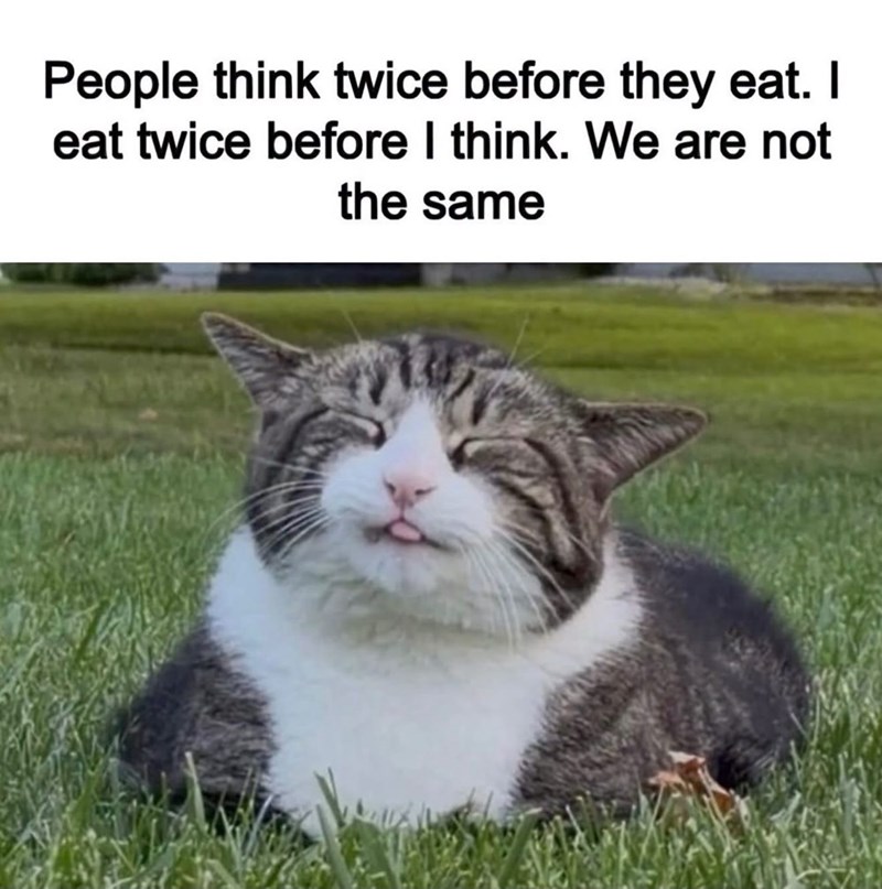 People think twice before they eat. I eat twice before I think. We are not the same