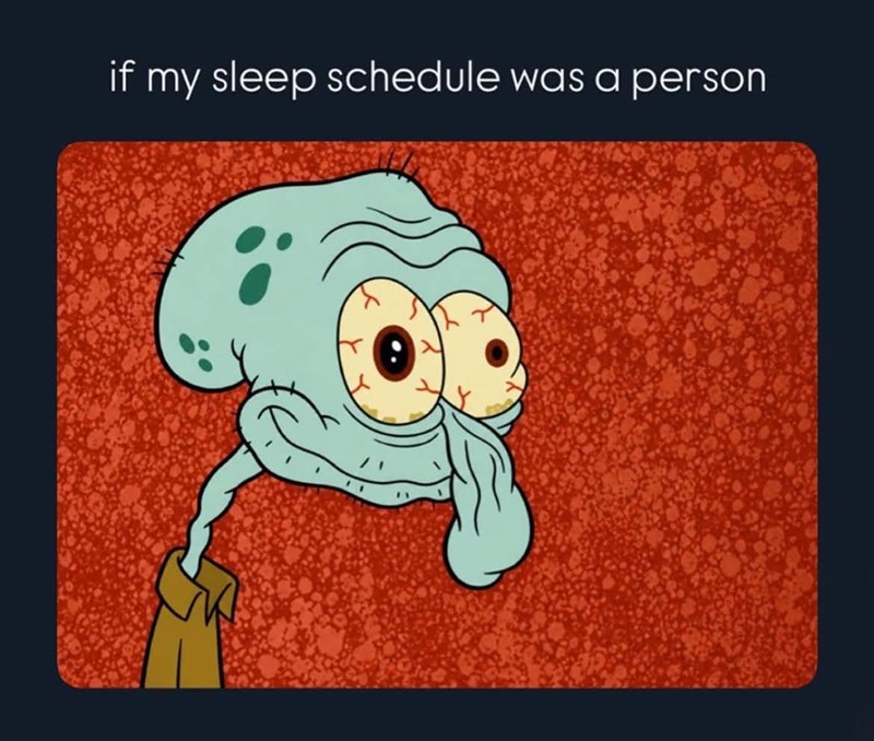 if my sleep schedule was a person