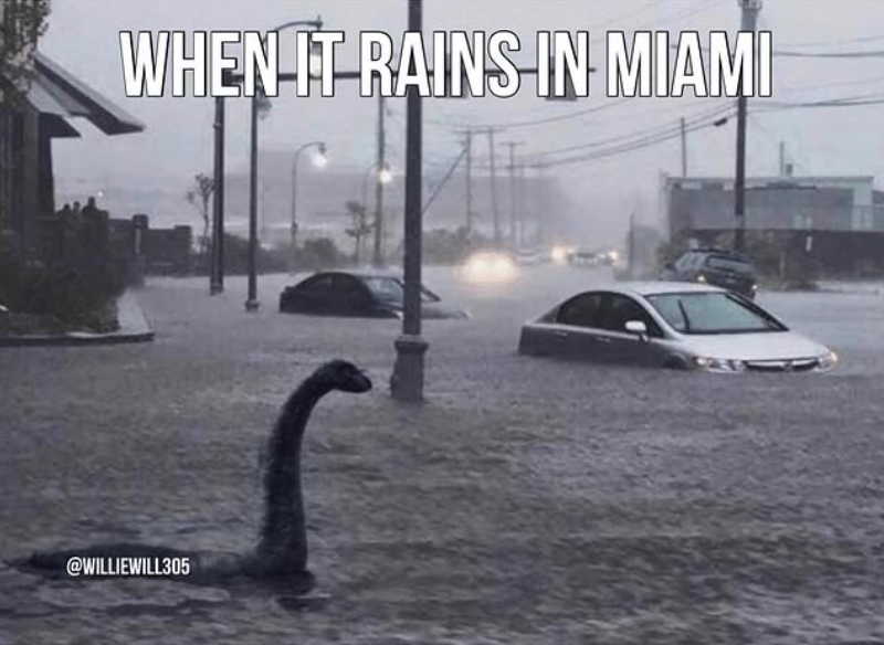 WHEN IT RAINS-IN-MIAMI @WILLIEWILL305