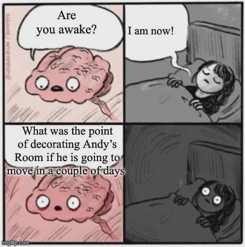 Puan/ Are you awake? What was the point of decorating Andy's Room if he is going to move in a couple of days imgflip.com I am now!