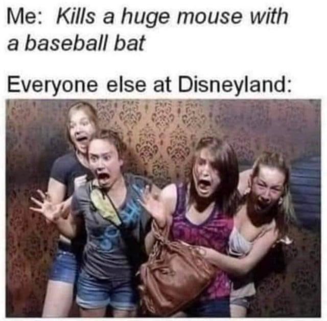 Me: Kills a huge mouse with a baseball bat Everyone else at Disneyland:
