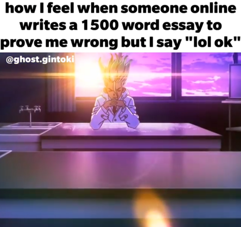 how I feel when someone online writes a 1500 word essay to prove me wrong but I say "lol ok" @ghost.gintoki