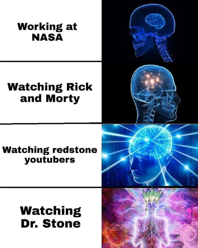 Working at NASA Watching Rick and Morty Watching redstone youtubers Watching Dr. Stone