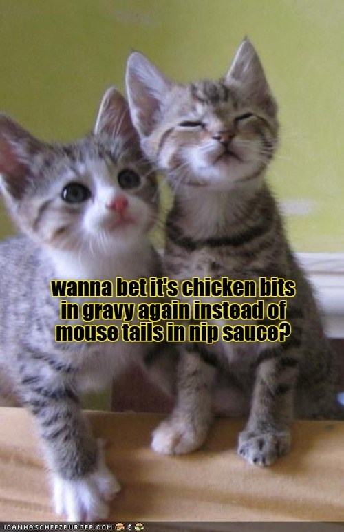 Cheezburger Image 10646655744