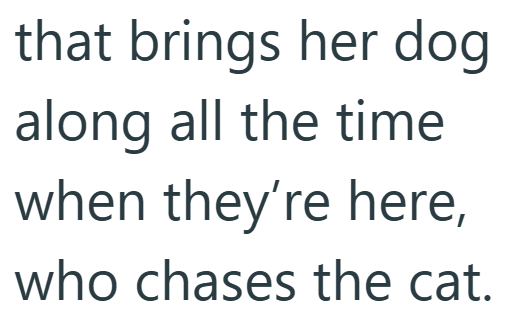 that brings her dog along all the time when they're here, who chases the cat.