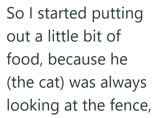 So I started putting out a little bit of food, because he (the cat) was always looking at the fence,