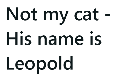 Not my cat - His name is Leopold