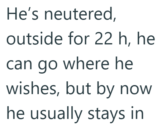 He's neutered, outside for 22 h, he can go where he wishes, but by now he usually stays in