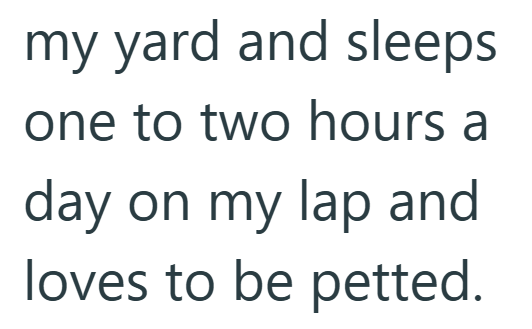 my yard and sleeps one to two hours a day on my lap and loves to be petted.