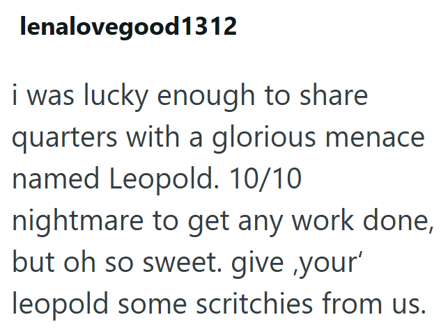 lenalovegood1312 i was lucky enough to share quarters with a glorious menace named Leopold. 10/10 nightmare to get any work done, but oh so sweet. give your' leopold some scritchies from us.
