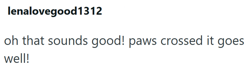 lenalovegood1312 oh that sounds good! paws crossed it goes well!