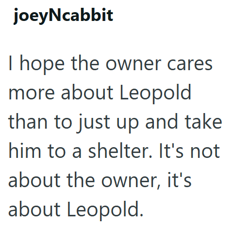 joeyNcabbit I hope the owner cares more about Leopold than to just up and take him to a shelter. It's not about the owner, it's about Leopold.