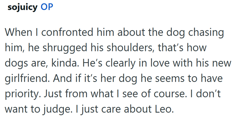 sojuicy OP When I confronted him about the dog chasing him, he shrugged his shoulders, that's how dogs are, kinda. He's clearly in love with his new girlfriend. And if it's her dog he seems to have priority. Just from what I see of course. I don't want to judge. I just care about Leo.