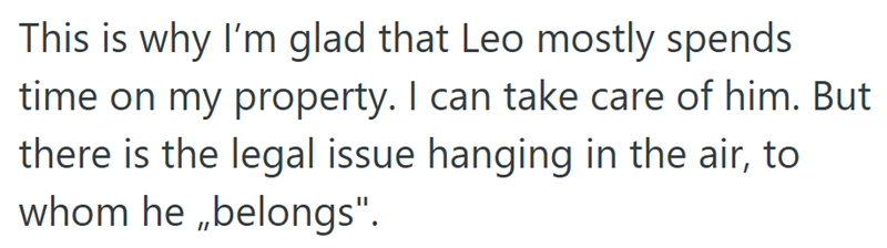 This is why I'm glad that Leo mostly spends time on my property. I can take care of him. But there is the legal issue hanging in the air, to whom he belongs".