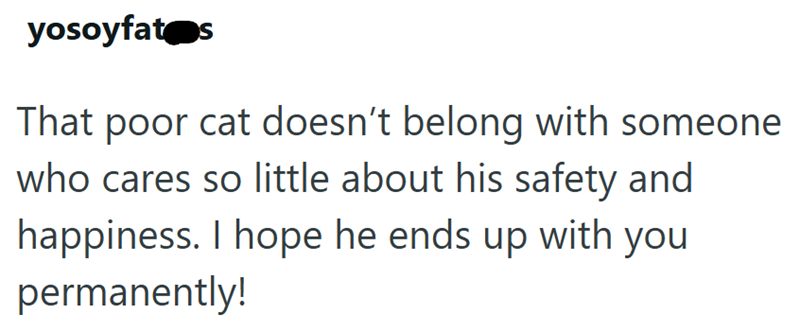 yosoyfat❤s That poor cat doesn't belong with someone who cares so little about his safety and happiness. I hope he ends up with you permanently!