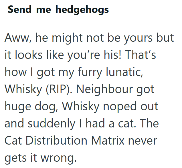 Send_me_hedgehogs Aww, he might not be yours but it looks like you're his! That's how I got my furry lunatic, Whisky (RIP). Neighbour got huge dog, Whisky noped out and suddenly I had a cat. The Cat Distribution Matrix never gets it wrong.
