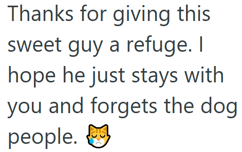 Thanks for giving this sweet guy a refuge. I hope he just stays with you and forgets the dog people.