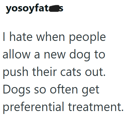 yosoyfat s I hate when people allow a new dog to push their cats out. Dogs so often get preferential treatment.