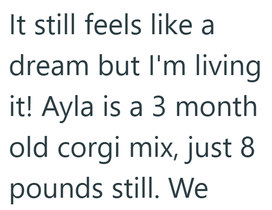 It still feels like a dream but I'm living it! Ayla is a 3 month old corgi mix, just 8 pounds still. We