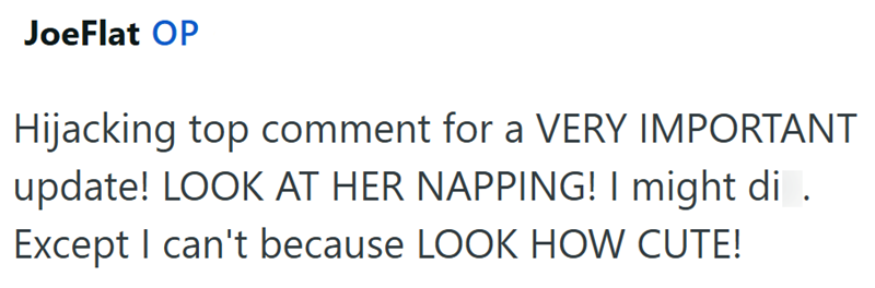 JoeFlat OP Hijacking top comment for a VERY IMPORTANT update! LOOK AT HER NAPPING! I might di . Except I can't because LOOK HOW CUTE!
