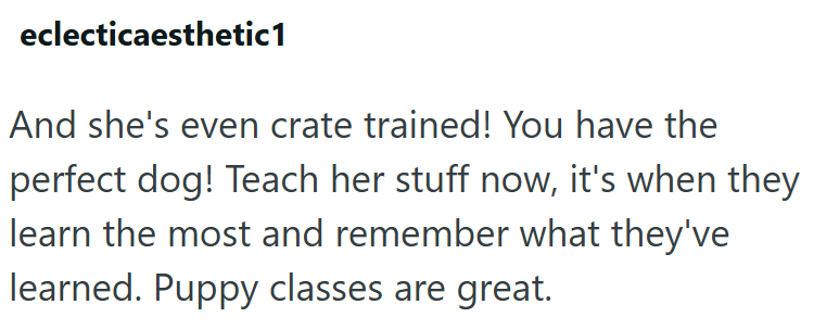 eclecticaesthetic1 And she's even crate trained! You have the perfect dog! Teach her stuff now, it's when they learn the most and remember what they've learned. Puppy classes are great.