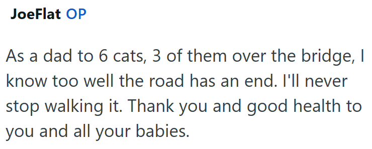 JoeFlat OP As a dad to 6 cats, 3 of them over the bridge, I know too well the road has an end. I'll never stop walking it. Thank you and good health to you and all your babies.