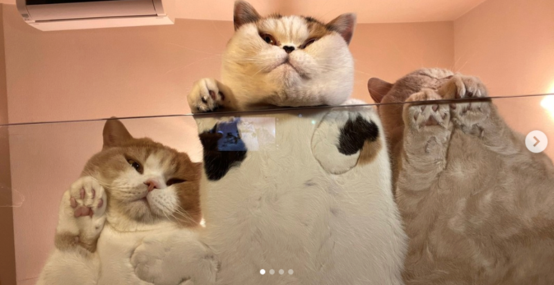 >
