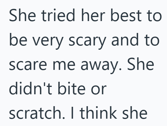 She tried her best to be very scary and to scare me away. She didn't bite or scratch. I think she