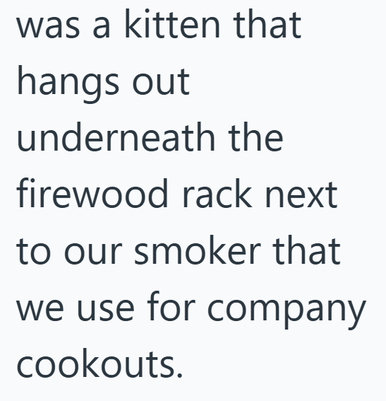 was a kitten that hangs out underneath the firewood rack next to our smoker that we use for company cookouts.