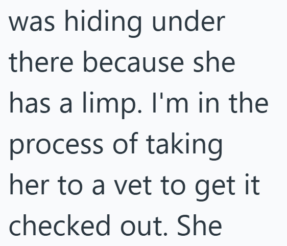 was hiding under there because she has a limp. I'm in the process of taking her to a vet to get it checked out. She