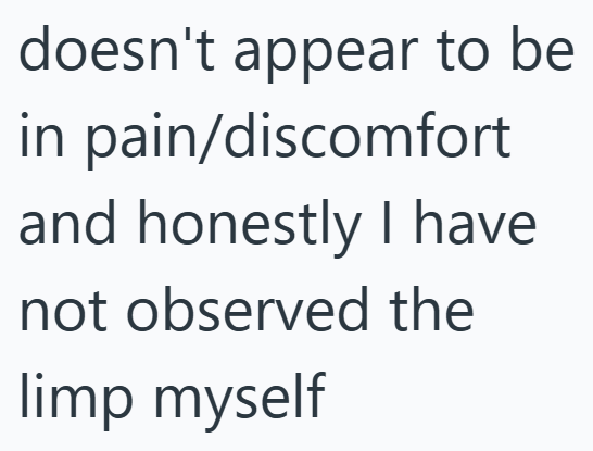 doesn't appear to be in pain/discomfort and honestly I have not observed the limp myself