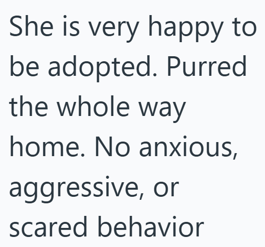 She is very happy to be adopted. Purred the whole way home. No anxious, aggressive, or scared behavior