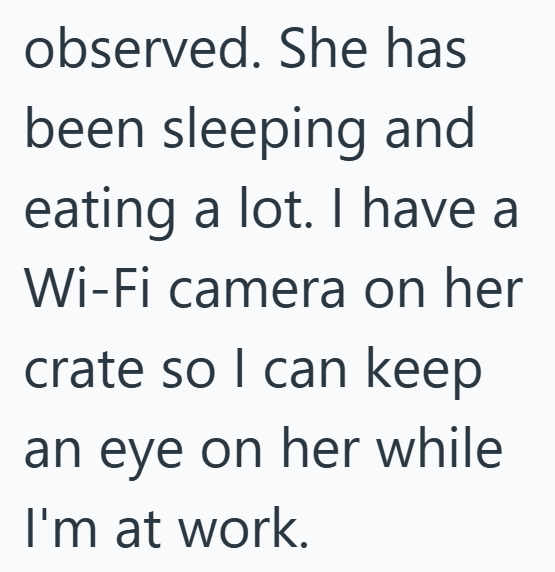 observed. She has been sleeping and eating a lot. I have a Wi-Fi camera on her crate so I can keep an eye on her while I'm at work.
