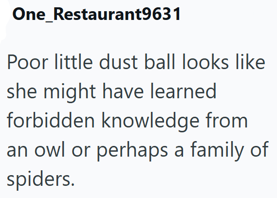 One_Restaurant9631 Poor little dust ball looks like she might have learned forbidden knowledge from an owl or perhaps a family of spiders.