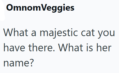 OmnomVeggies What a majestic cat you have there. What is her name?