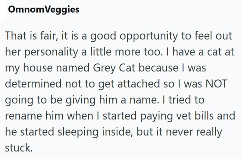 OmnomVeggies That is fair, it is a good opportunity to feel out her personality a little more too. I have a cat at my house named Grey Cat because I was determined not to get attached so I was NOT going to be giving him a name. I tried to rename him when I started paying vet bills and he started sleeping inside, but it never really stuck.