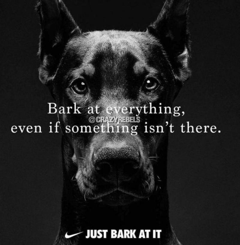 Bark at everything, @CRAZYREBELS even if something isn't there. JUST BARK AT IT